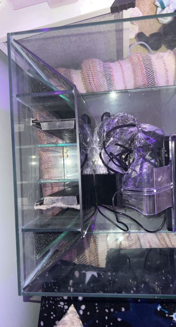 Fish Tank Bundle