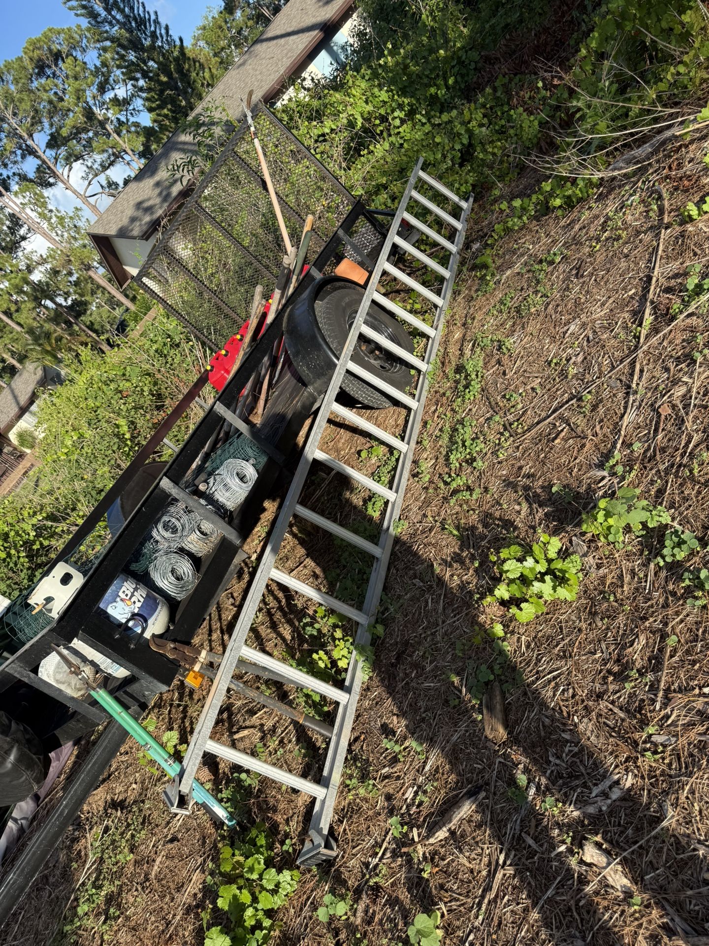 14’ Ladder