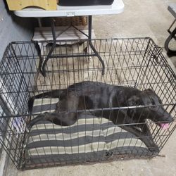 Dog Crate