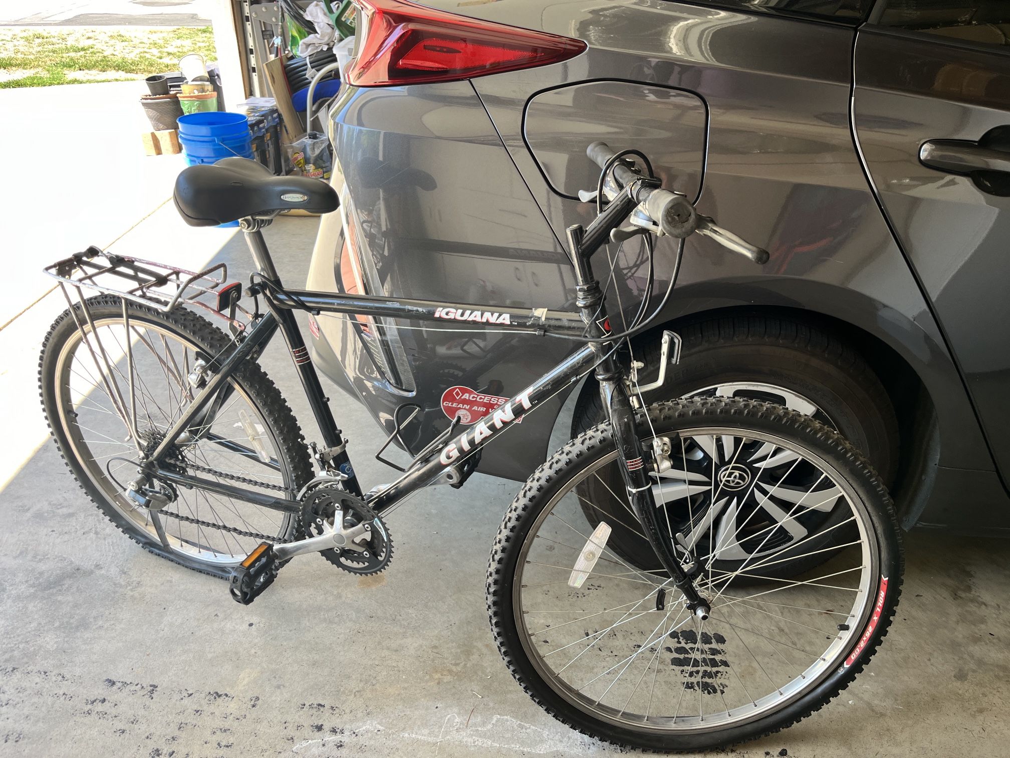 Mountain Bike Giant Iguana 18”