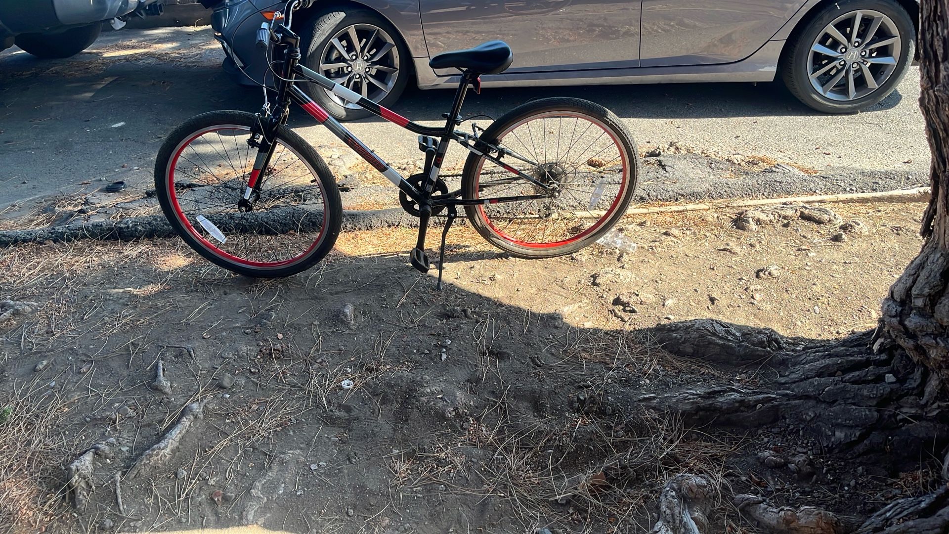 Bike 70 bucks