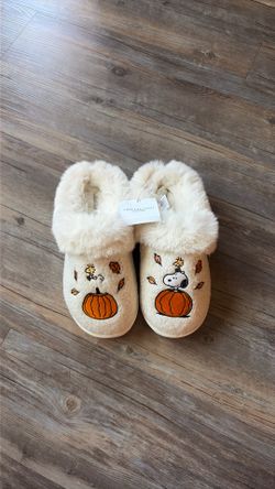 American Eagle Autumn Snoopy Slippers