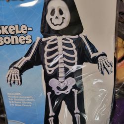 Toddler Skeleton