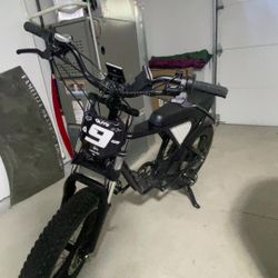 Ridstar Q20 1500Watt 