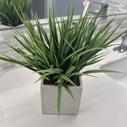 Artificial Plants