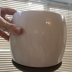 6in Plant Pot