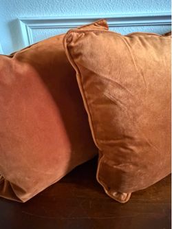 Two pillows covers with insert