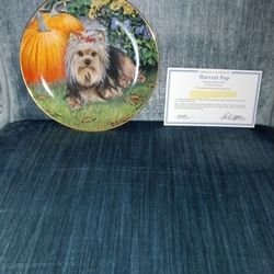 Harvest Pup Pumpkin And Yorkie Collector Plate By Patricia Bourque 