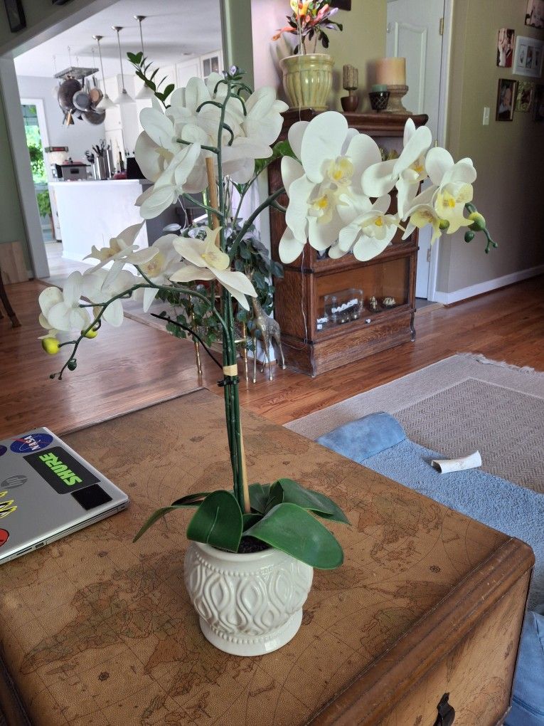 27x7 Artificial Orchid