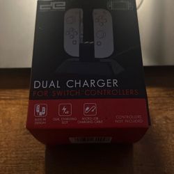 Nintendo Switch Charger 
