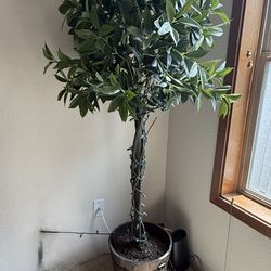 Beautiful Realistic Silk Plants/trees