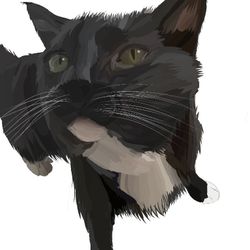 Realistic Cat