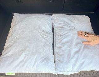 Pillows - 2 Standard/Queen Size (Perfect Condition)