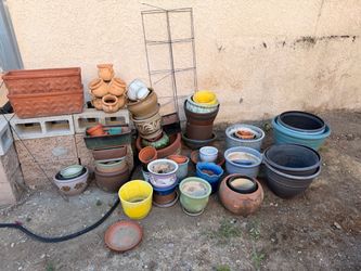 Collection of pots for plants pottery