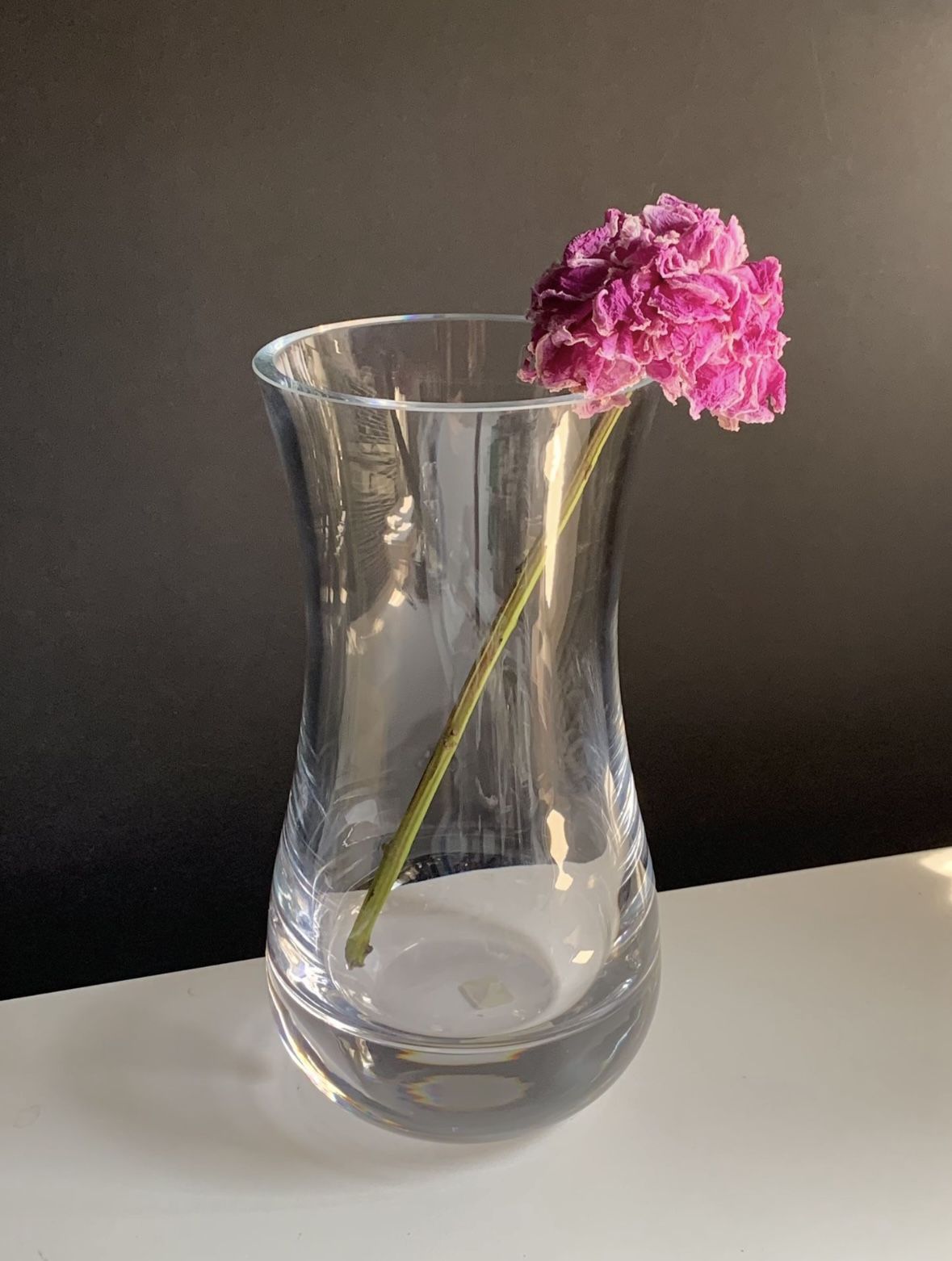 $15 Crate and Barrel- "Pera" Flower Vase