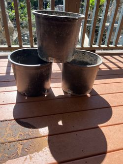 5 Gallon Pot