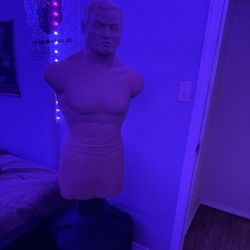 Century Bob 