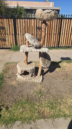 Free Cat Tower