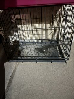 Dog Cage