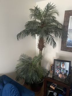 Fake Palm Tree Plant