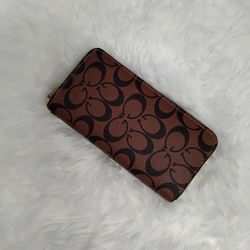 Brown Wallet 