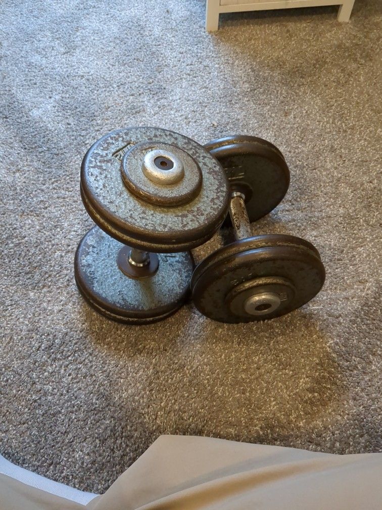 Two 36lb Iron Dumbbells
