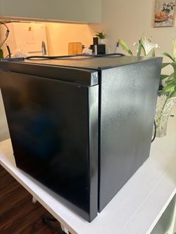 Mini refrigerator