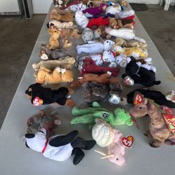 Beanie Baby Collection
