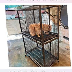 body light Pet Cages in Different Dimensions to Suit All Pets