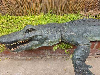 7 ft Swamp Alligator Halloween Latex Foam Filled Prop Haunted Enterprizes Upgraded


See full video on Rudos Epic Props Youtube Channel