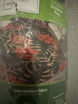 Carpet Rug Indoor/Outdoor