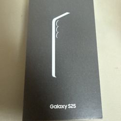Galaxy S25 