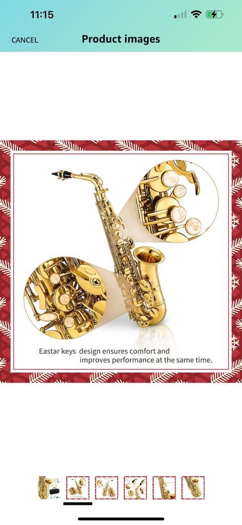 Eastar professional high Mi gold saxophone