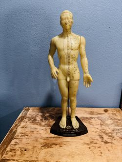 RARE 1950s ACUPUNTURE MODEL KANGLE BRAND MADE IN PEOPLE REPUBLIC OF CHINA