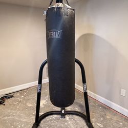 Everlast Punching Bag + Stand + Speed Bag + Gloves – Full Set