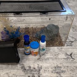 Fish Tank
