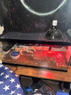 Reptile tank