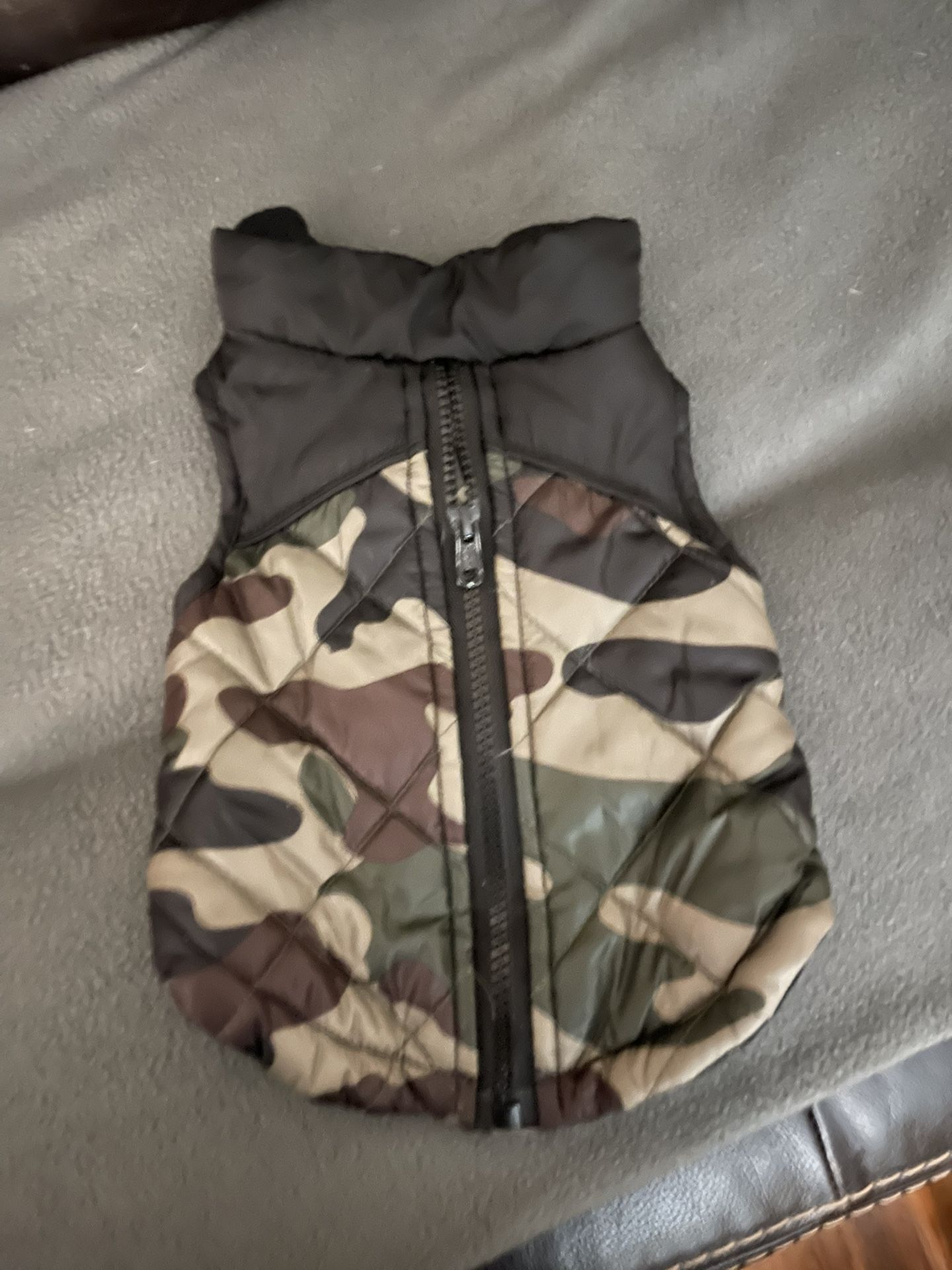 Small camouflage coat and dog harness