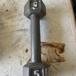 5 Lb Dumbbell 