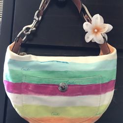 Y2k Spring/Summer Hobo Coach Purse 