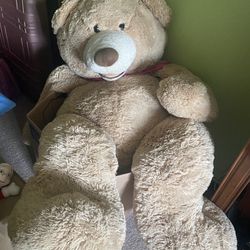 Big Teddy bear
