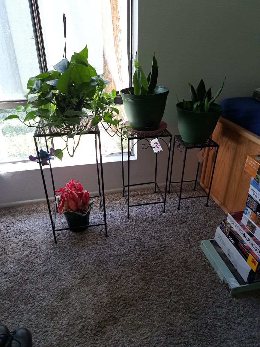 3 Set Metal Plant Holder