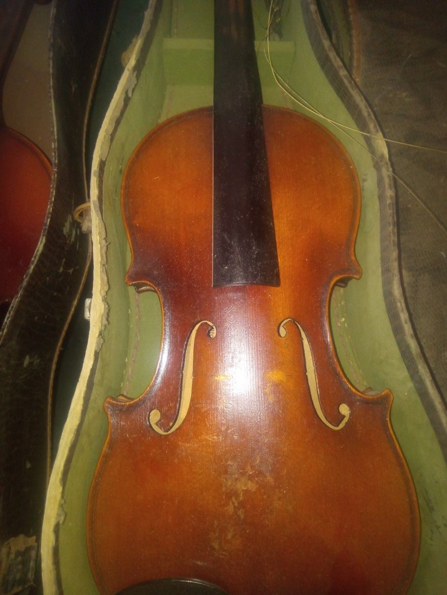 Stat Violin