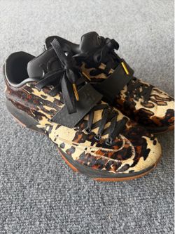KD 7 longhorn