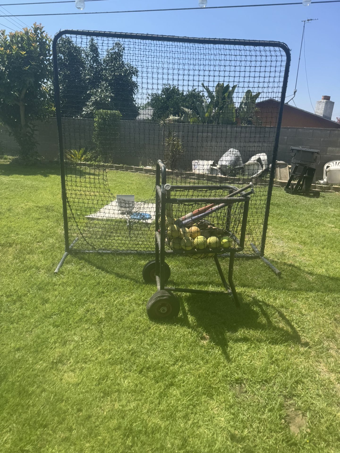 Net And Ball Carrier