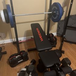 Weight Bench/ Squat Rack Combo/with Weights