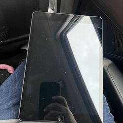iPad 