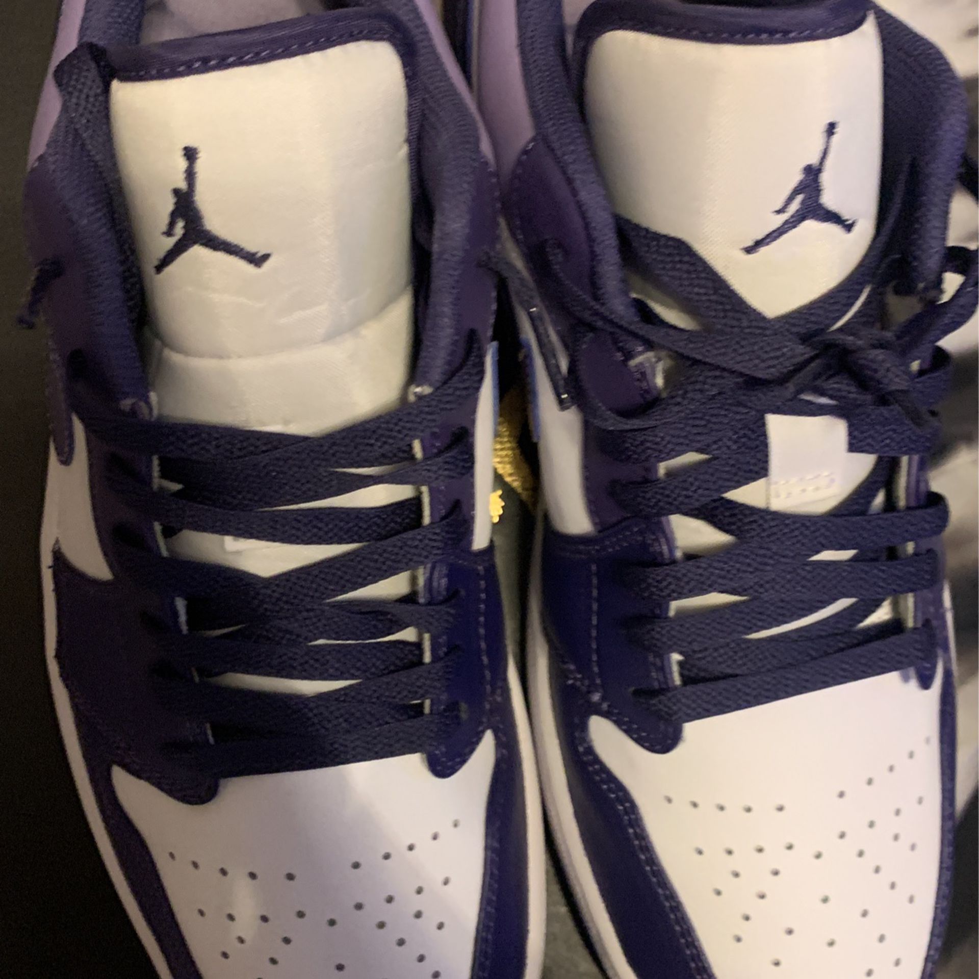 SKY J PURPLE AIR JORDAN 1 Low