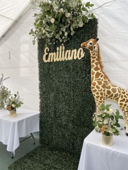Backdrop SAFARI Baby shower / Birthday