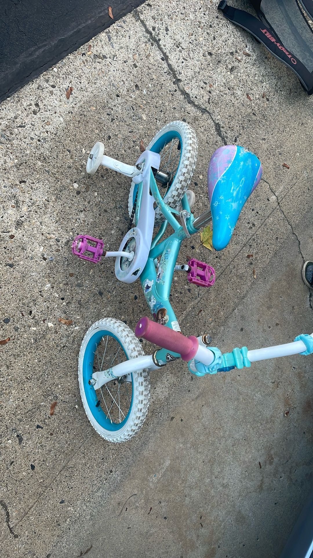 14 Inch Elsa And Anna Bike With Trainer